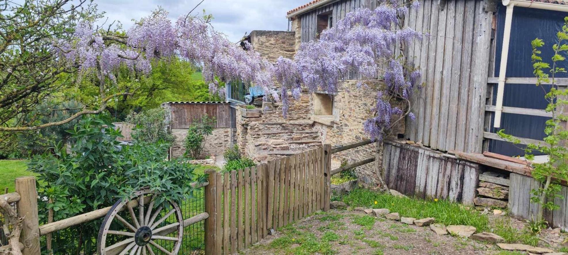 Aux Yourtes De La Fabrique Saint-Florent-des-Bois Exterior foto